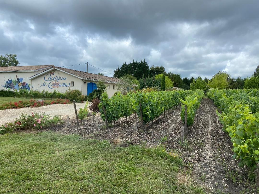 Domaine Du Cassana Villa Saint-Sauveur  Esterno foto